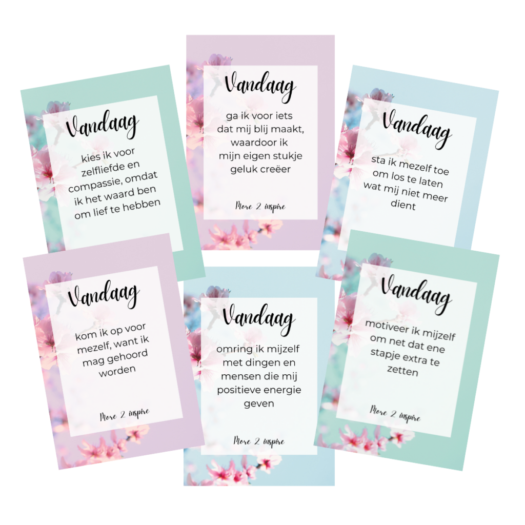 Zes affirmatiekaarten met Nederlandse motiverende quotes, elk met een unieke achtergrondkleur en bloemenontwerp van More2Inspire.